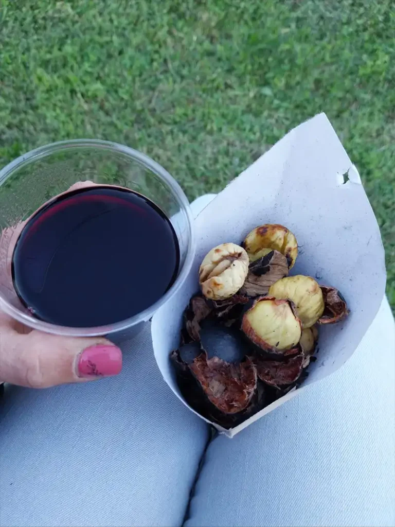 Castagnata castagne e vino
