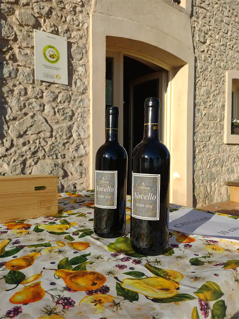 Bottiglie di vino novello